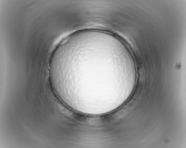 X0000090451363200708102040