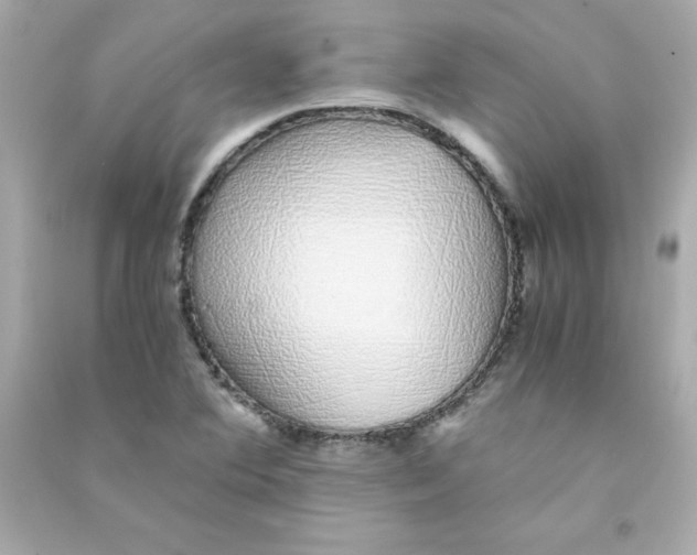 X0000090451364200708102040