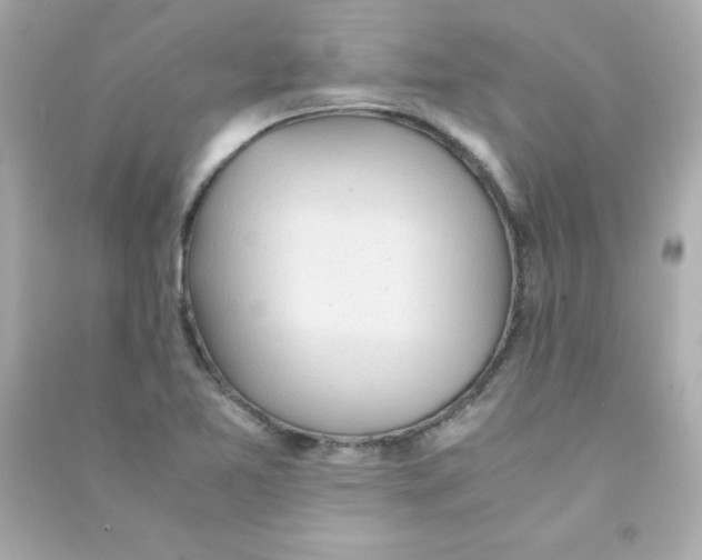 X0000090451365200708102040