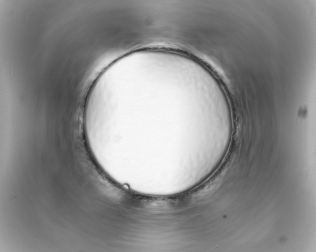 X0000090451367200708102040