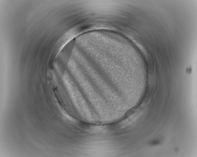 X0000090451369200708102040