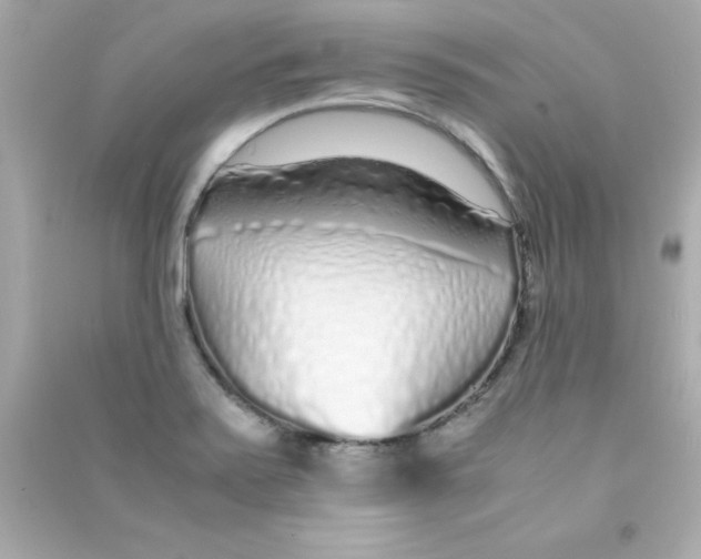 X0000090451371200708102040