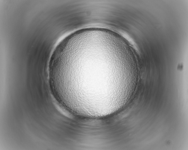 X0000090451372200708102040