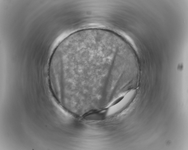 X0000090451373200708102040