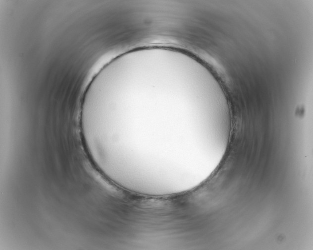 X0000090451374200708102040