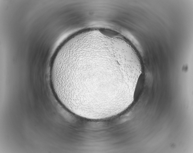 X0000090451376200708102039