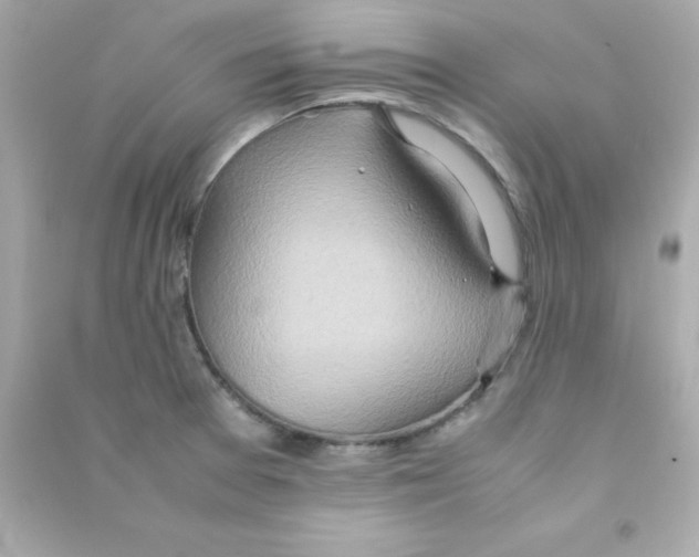 X0000090451377200708102039