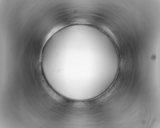 X0000090451378200708102039