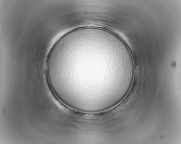 X0000090451379200708102039