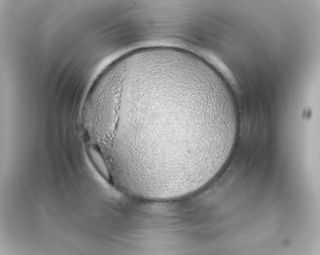 X0000090451380200708102039