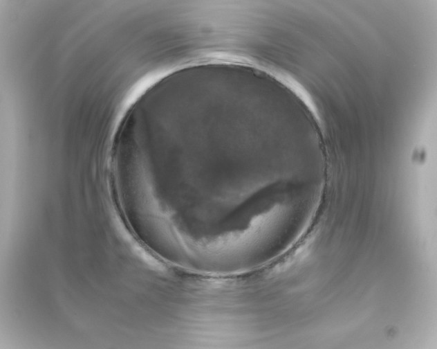 X0000090451381200708102039