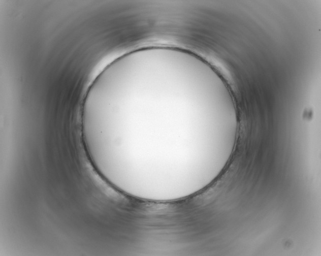 X0000090451382200708102039