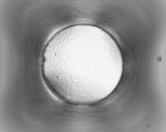 X0000090451383200708102039