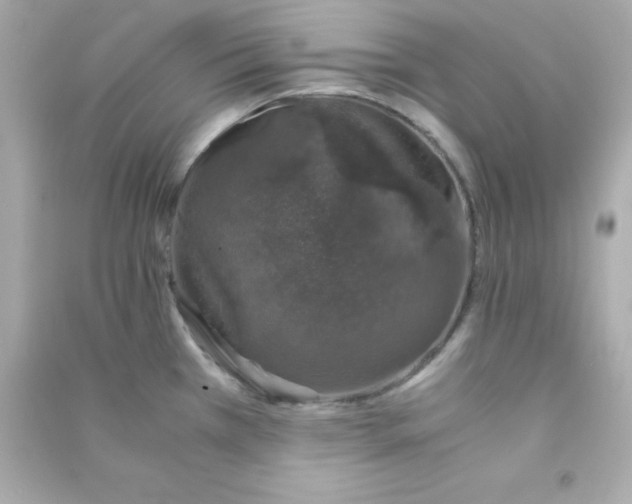 X0000090451385200708102039