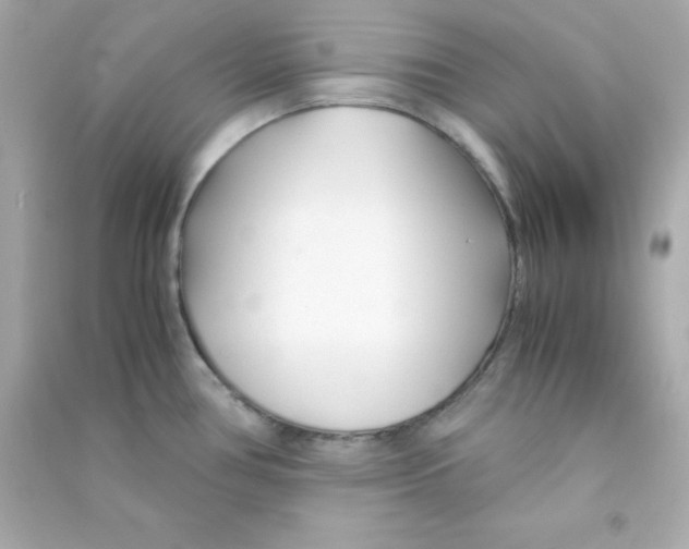 X0000090451386200708102039