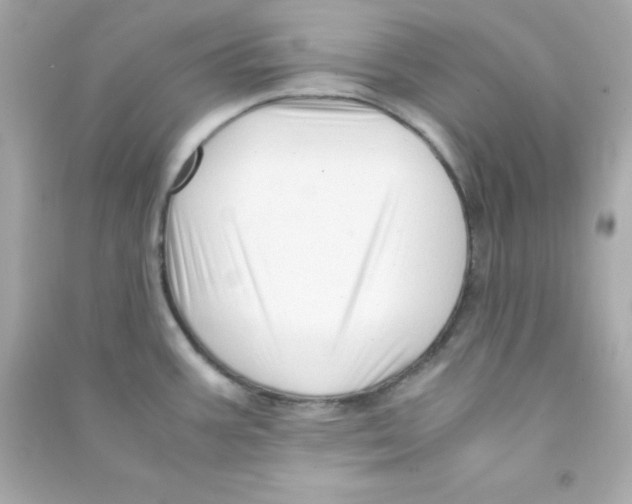 X0000090451387200708102039