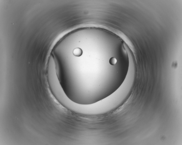 X0000090451388200708102039