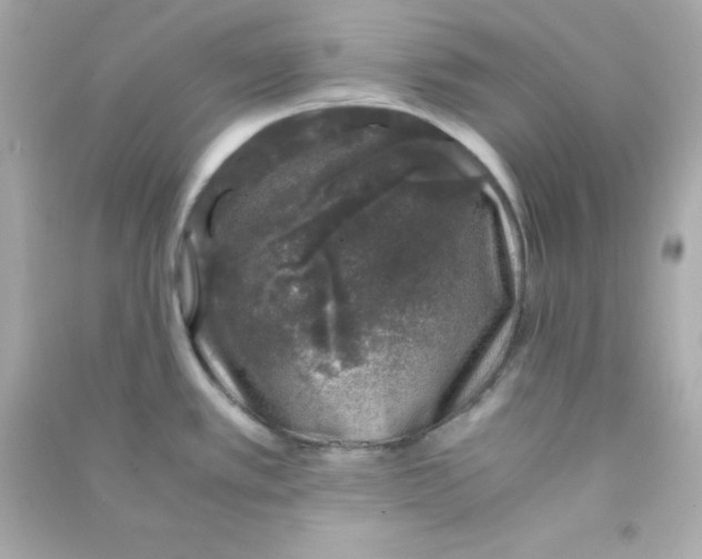 X0000090451389200708102039