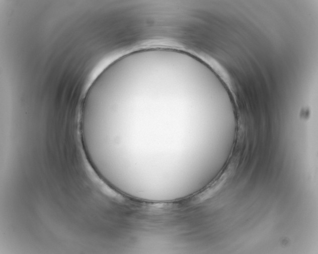 X0000090451390200708102039