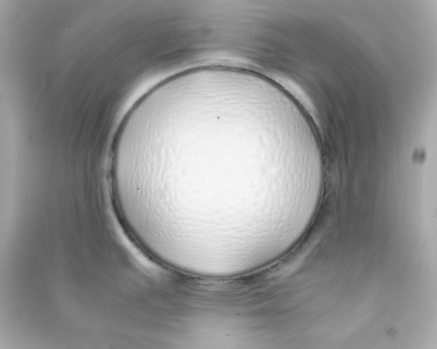 X0000090451391200708102039