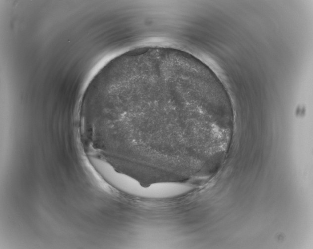 X0000090451392200708102039