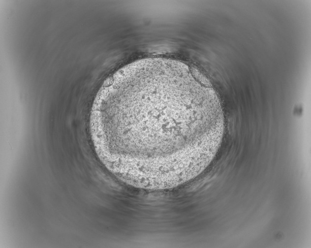 X0000090451393200708102039