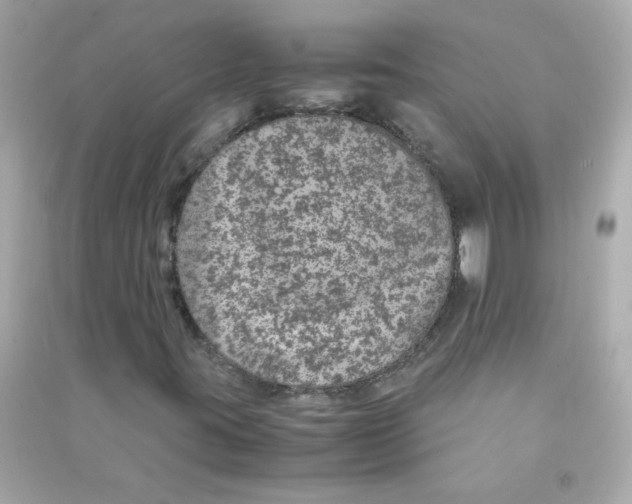 X0000090451395200708102039