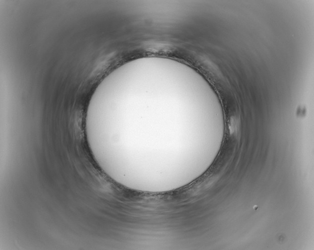 X0000090451396200708102039