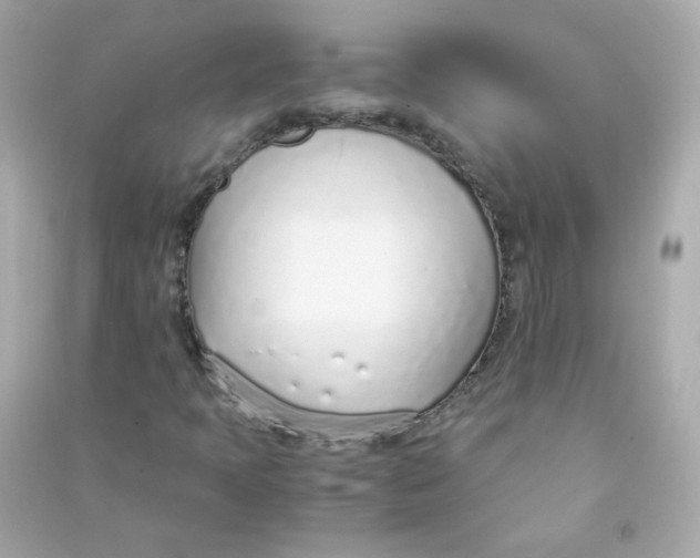 X0000090451397200708102039