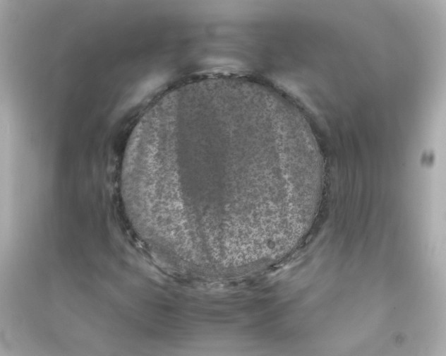 X0000090451399200708102039