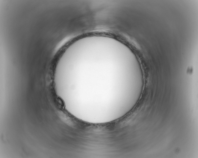 X0000090451400200708102039