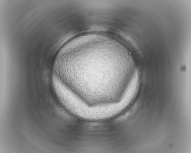 X0000090451401200708102039