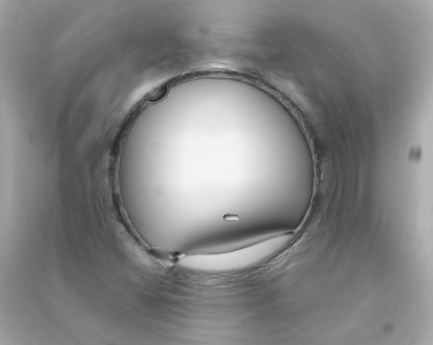 X0000090451404200708102039