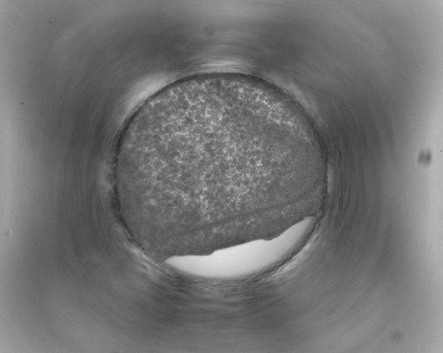 X0000090451405200708102039