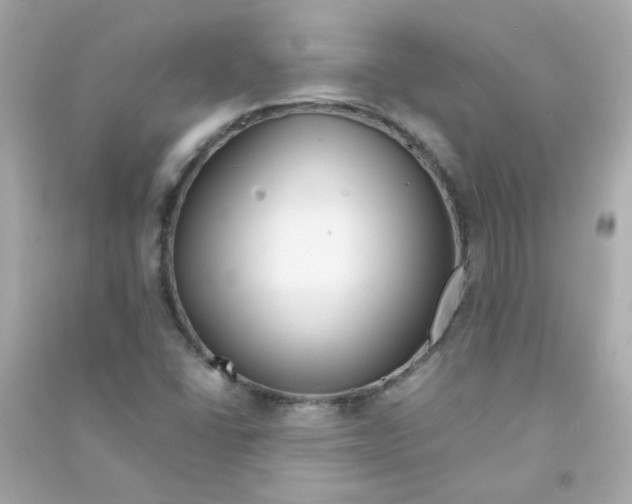 X0000090451406200708102039