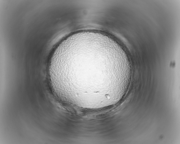 X0000090451407200708102039