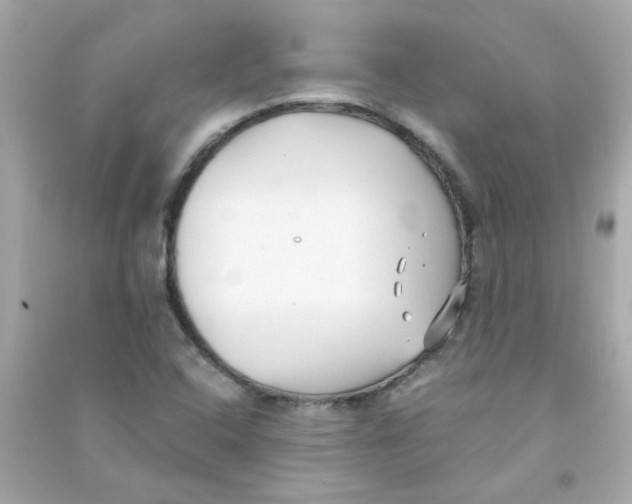 X0000090451408200708102039