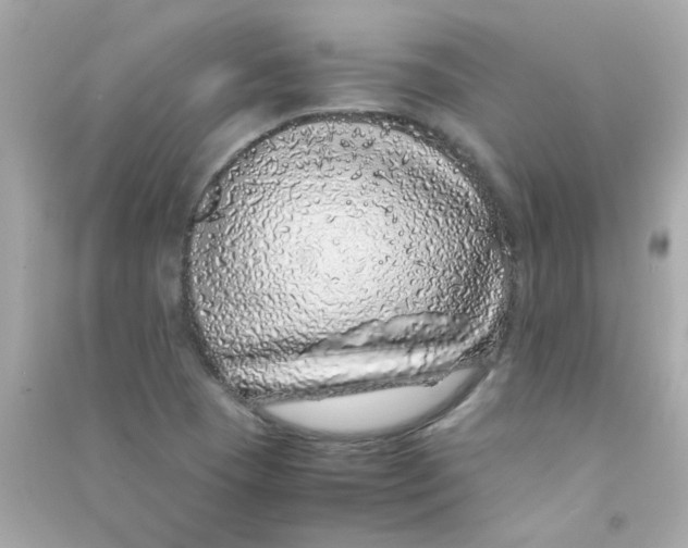 X0000090451409200708102039