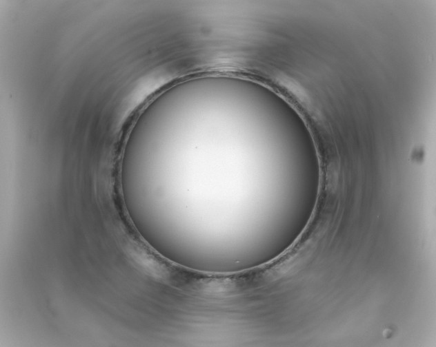 X0000090451410200708102039