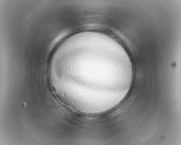 X0000090451411200708102039