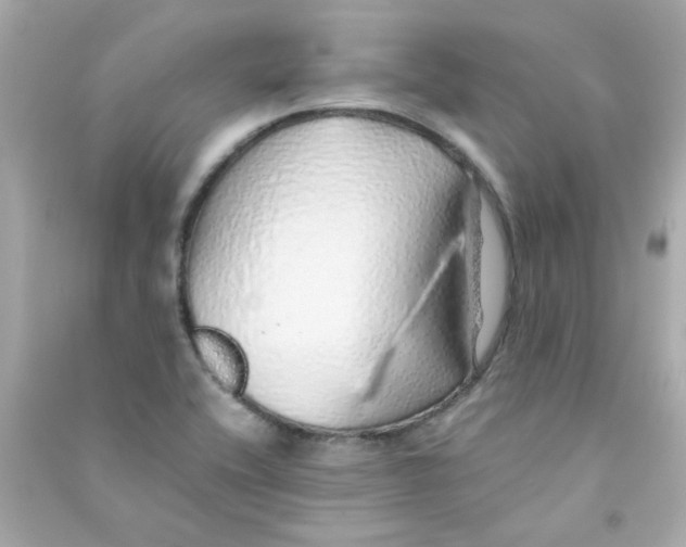 X0000090451416200708102039