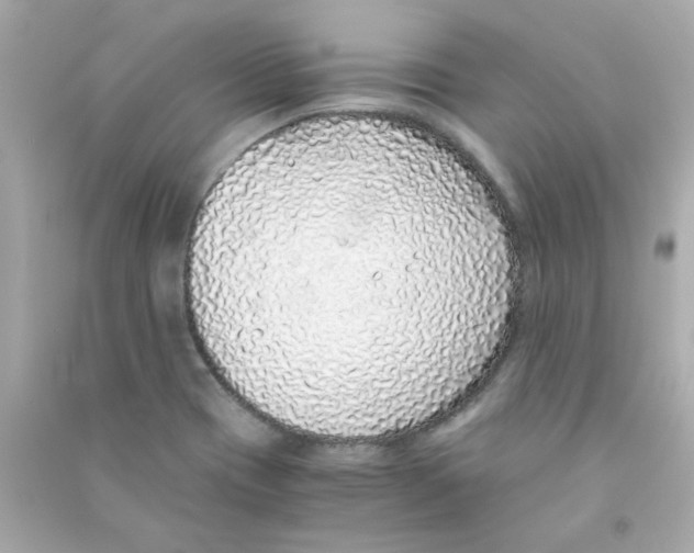 X0000090451417200708102039