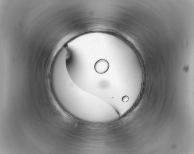 X0000090451418200708102039