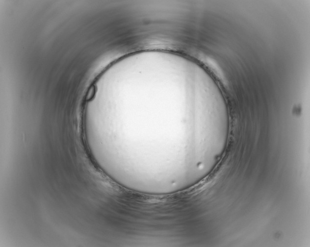 X0000090451419200708102039