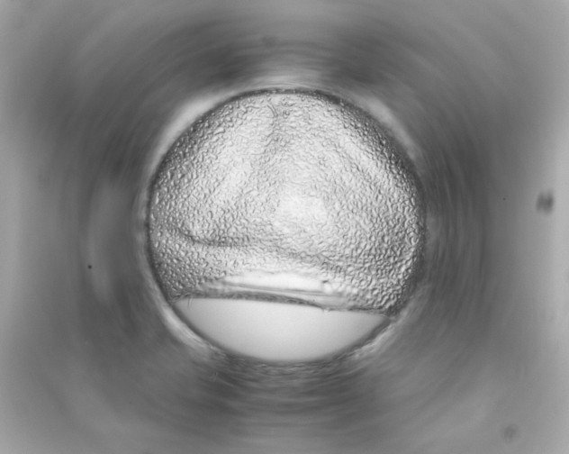 X0000090451421200708102039