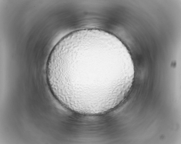 X0000090451423200708102039