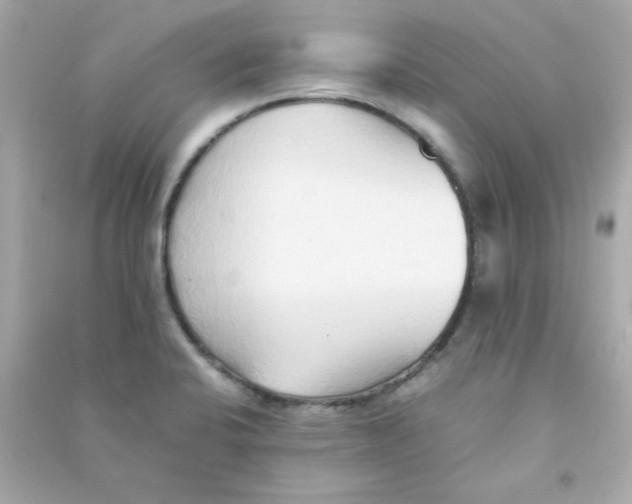 X0000090451424200708102039