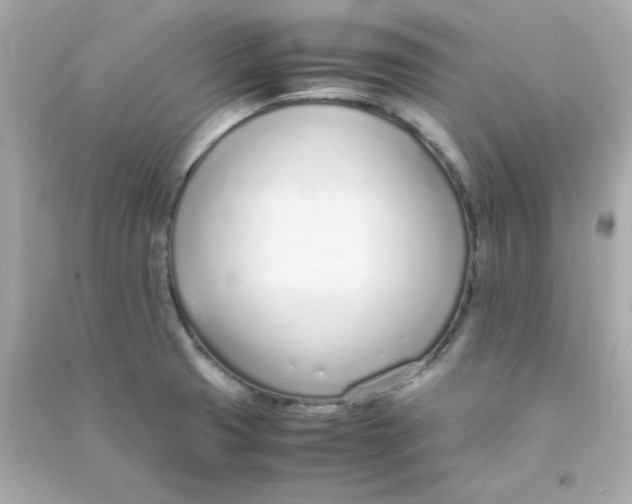 X0000090451425200708102039