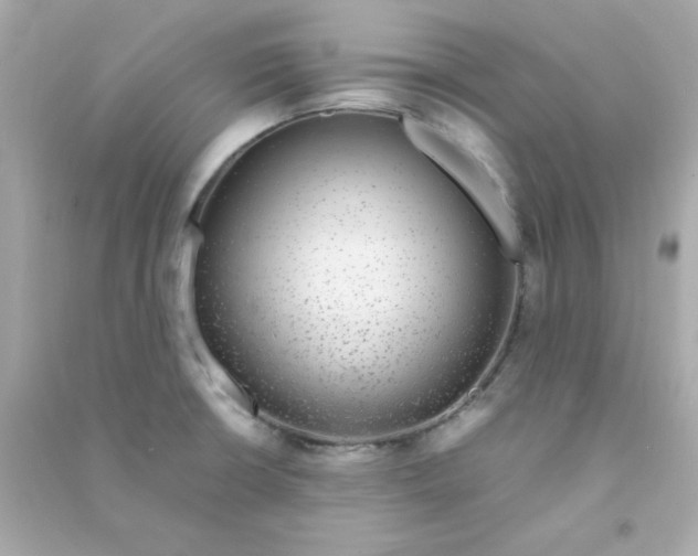 X0000090451426200708102039