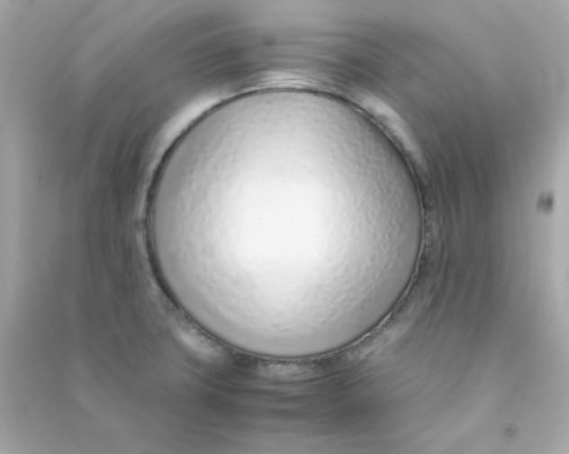 X0000090451427200708102039